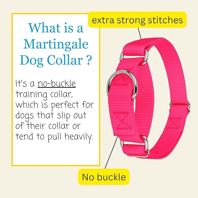 Country Brook Petz - Martingale Dog Collar - Heavy-Duty Training Collar with No Buckle - Service Dog Collar for All Pups - 10+ Warm Colors (Hot Pink, 3/8 Inch, 3XS)