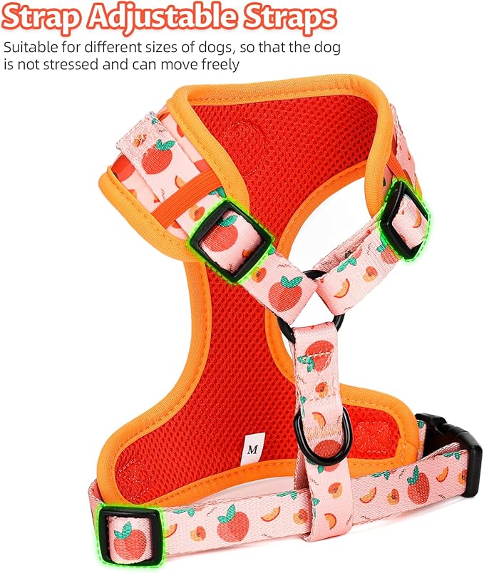 Dog Harness and Leash Set, Adjustable Dog Harness, Dog Leash, No Pull No Choke Puppy Harnesses for Walking Training for Small Medium Pet