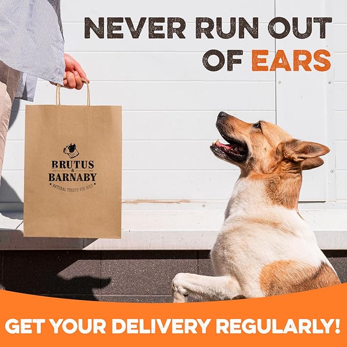 BRUTUS & BARNABY Pig Ear Halves for Dogs, 40 Ct. – All-Natural Single Ingredient Dog Chews, Slow Cooked & Fully Digestible Rawhide Alternative