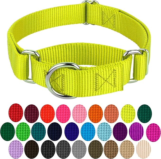Country Brook Petz - Martingale Dog Collar - Heavy-Duty Training Collar with No Buckle - Service Dog Collar for All Pups - 10+ Warm Colors (Hot Yellow, 3/8 Inch, 2XS)