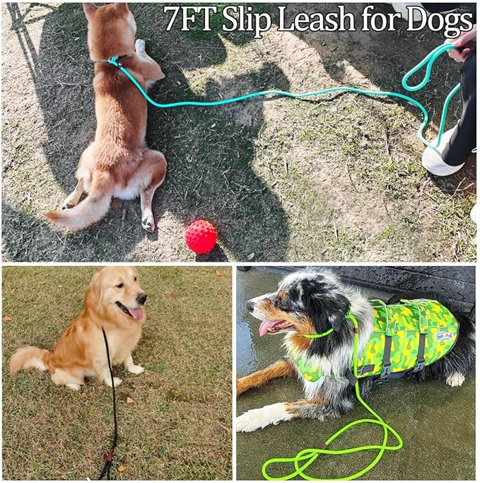 MayPaw Slip Lead Control Leash for Dogs No Pull, 13+ Colors Classic Dog Lead 7 FT Pet Slip Leash, 1/4” Rope Leashes for Small Medium Animals (7ft*1/4", Black)