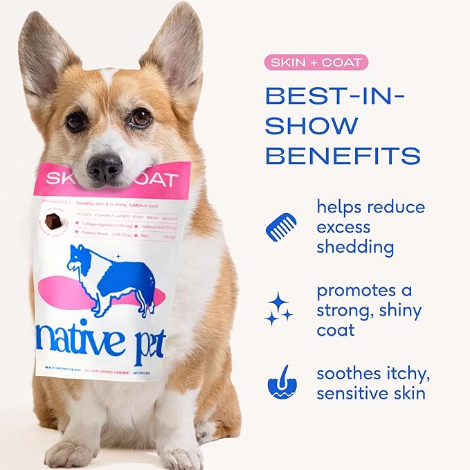 Native Pet Omega Skin and Coat Chews for Dogs - Dog Skin and Coat Supplement for Healthy, Shiny Fur, Reduce Shedding and Dry Spots - Made with Omega 3 Fish Oil and Wild-Caught Salmon Oil - 30 Chews