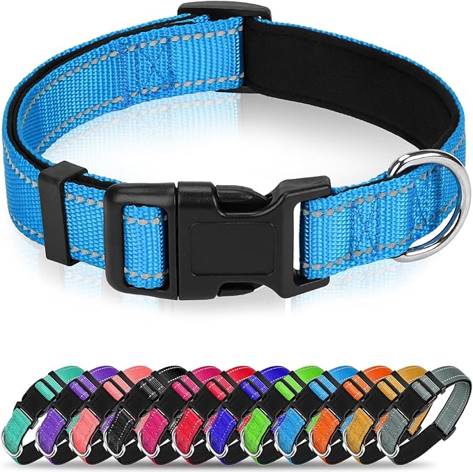 Reflective Dog Collar for Large Dogs, Wide Nylon Adjustable Collar with Soft Padding, Durable Buckle for Pitbull Labrador Retriever,Aqua Blue,L