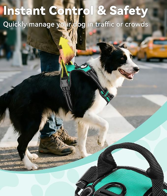 Joytale No Pull Dog Harness for Small Dogs, Reflective Pet Vest with Front Clip, Adjustable Soft Padded Harnesses with Easy Control Handle for Training and Walking, Teal, S