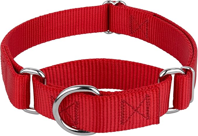 Country Brook Petz - Martingale Dog Collar - Heavy-Duty Training Collar with No Buckle - Service Dog Collar for All Pups - 10+ Warm Colors (Red, 3/8 Inch, 3XS)