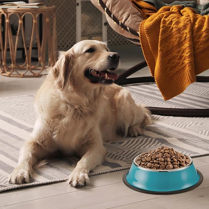 Roshtia 6 Pcs 30 oz Stainless Steel Dog Bowl, Spill Proof Dog Food Water Bowl with Anti Skid Silicone Base Stackable Pet Puppy Dishes for Medium Large Dogs Cat, Colorful