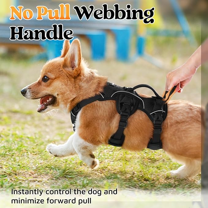 rabbitgoo Escape Proof Dog Harness, Soft Padded Full Body Pet Harness, Reflective Adjustable No Pull Vest with Lift Handle and Leash Clip for Large Dogs Walking Hiking Training, S, Black