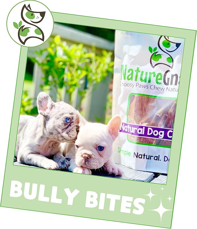Nature Gnaws Bully Stick Bites for Small Dogs 2-4" (8oz) - Long Lasting for Light Chewers and Puppies - Natural Beef Dog Chew Treats - Rawhide Free