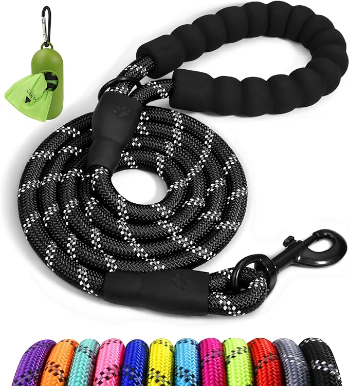 Taglory Rope Dog Leash 5 FT with Comfortable Padded Handle, Highly Reflective Threads Leash for Small Dogs, 3/8 inch, Black