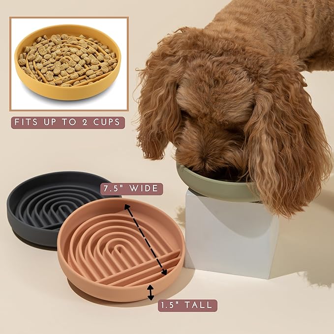 Should We Go? Slow Feeder for Dogs & Puppies, The Slowdown Bowl Silicone Slow Eating, Modern Lick Mat Design, Reduces Gulping, Fits 2 Cups, 7.5” Across x 1.5” Tall, Mealtime Challenge, Medium-Charcoal