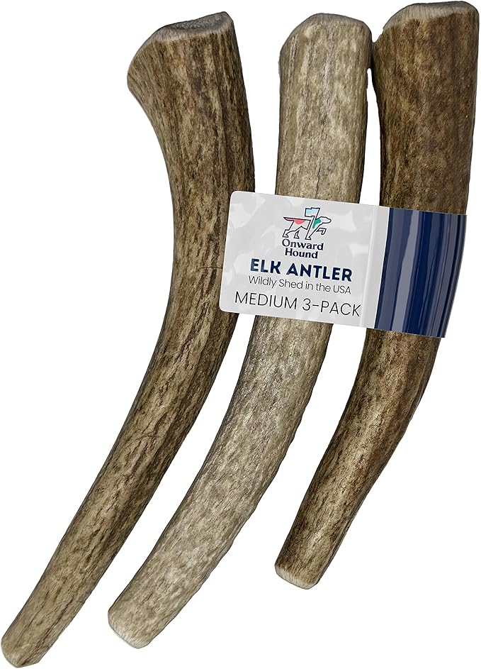Onward Hound Elk Antlers for Dogs, 6"+ Medium 3-Pack, Grade A Long Lasting for Aggressive Chewers, Premium USA Naturally Shed Antler - Healthy, No Odor, Durable Chew for 15-35lb Breeds