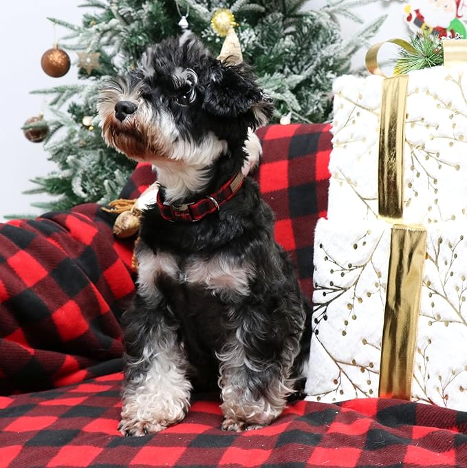 Unique style paws Christmas Dog Collar Metal Buckle Red Black Plaid Puppy Collar Gift Durable Cute Collar for Small Medium Large Boys Girls Dogs