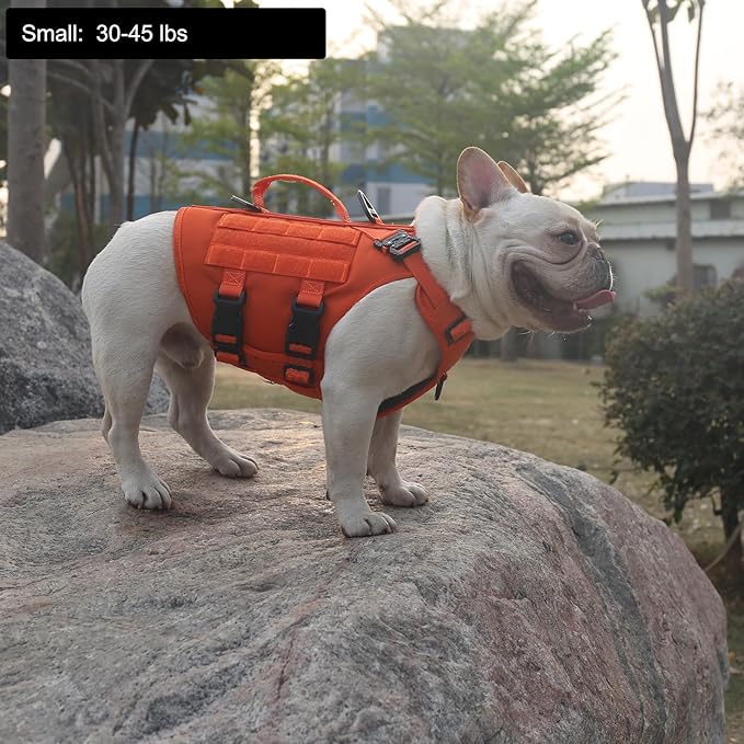 ICEFANG GN3 Tactical Dog Harness with 6X Buckle,Dog Molle Vest with Handle,3/4 Body, Hook and Loop Panel for ID Patch,No Pulling Front Clip (S (Neck 14"-18"; Chest 22"-27"), Safety Orange)