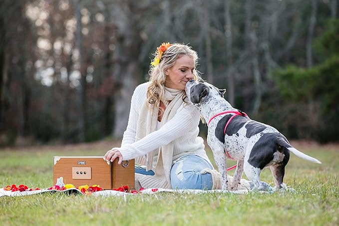 Harness Lead No Pull Dog Harness and Leash Set, Anti Pull Dog Harness for All Breeds and Sizes, One-Piece Cushioned Rope Design Safely Prevents Escaping and Pulling (Small/Medium, Pink)