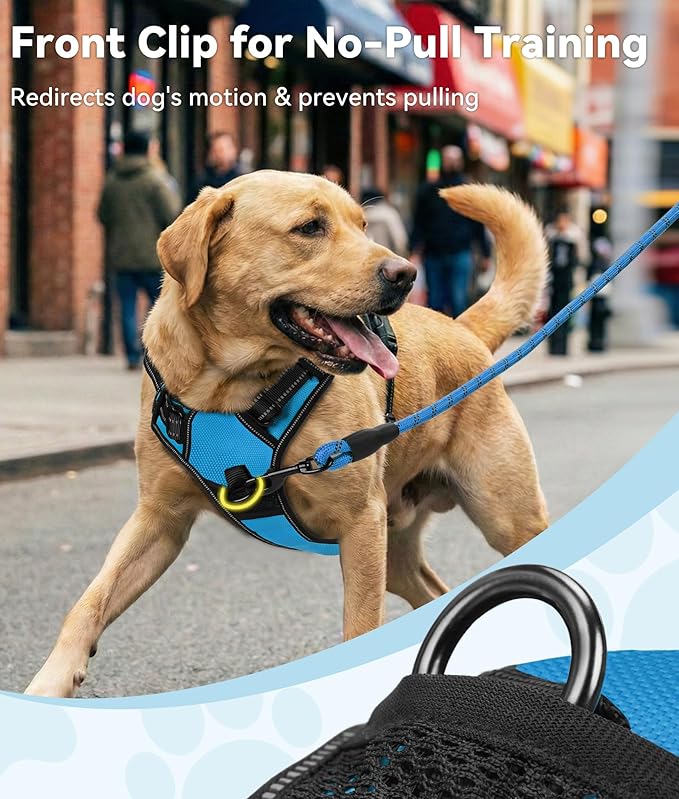 Joytale No Pull Dog Harness Medium Sized Dog, Reflective Pet Vest with Front Clip, Adjustable Soft Padded Harnesses with Easy Control Handle for Training and Walking, Sky Blue, M