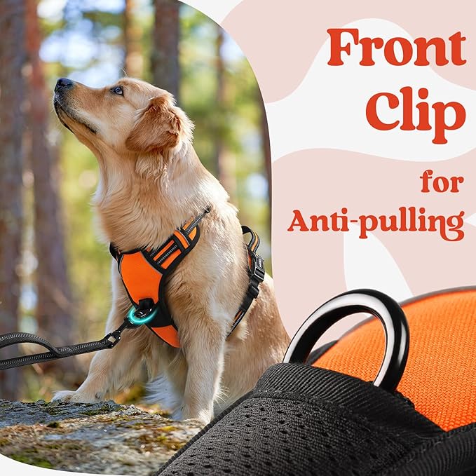 rabbitgoo Dog Harness Medium Sized, No Pull Pet Harness with 3 Buckles, Adjustable Soft Padded Vest with Control Handle, Walking Reflective Pet Vest for Medium Dogs, Orange, M