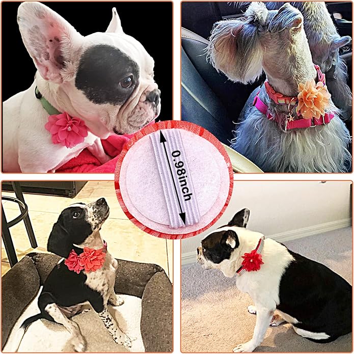 PET SHOW Valentines Small Dogs Flower Charms Slide Collar Accessories for Medium Large Dogs Cat Puppies Rabbit Pigs Collars Bows Grooming Supplies