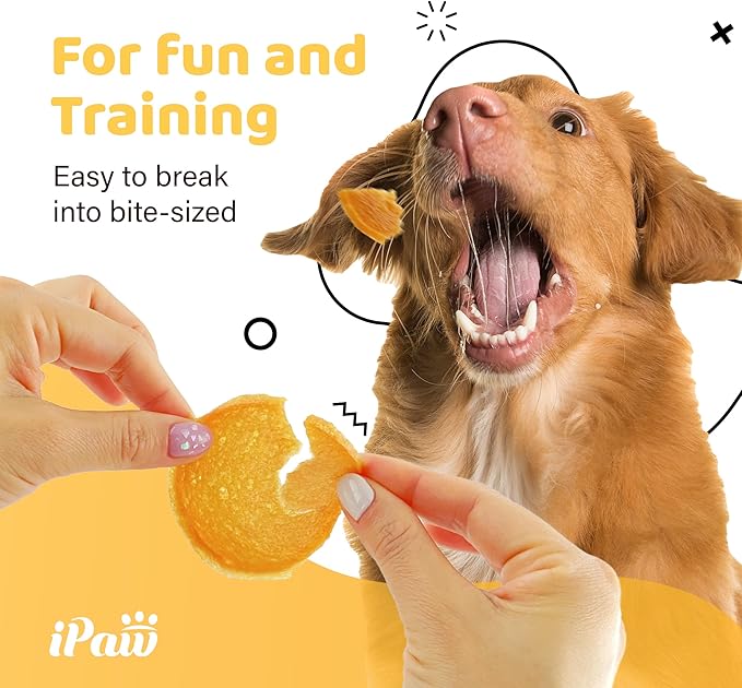 iPaw 5 Stock-Up Combo Chicken Chips Dog Treats for Puppy Training, All Natural Human Grade Dog Treat, Hypoallergenic, Easy to Digest (Chicken Chips), 5 Packs