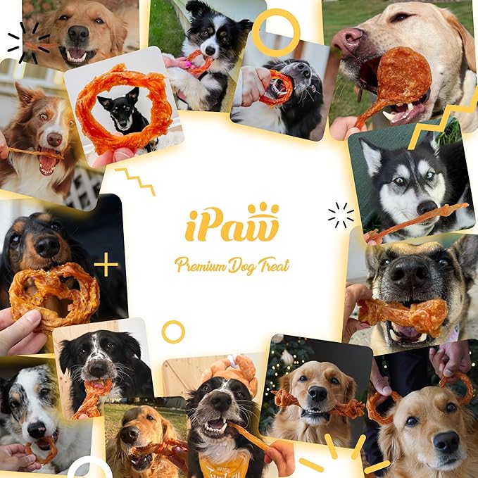 iPaw 5 Packs Value Combo Turkey Tendons for Dogs, 100% Turkey and US Sourced Raw Material, Hypoallergenic, All Natural Human Grade Puppy Chew, Rawhide Alternative Dog Treats, Strip (Large)