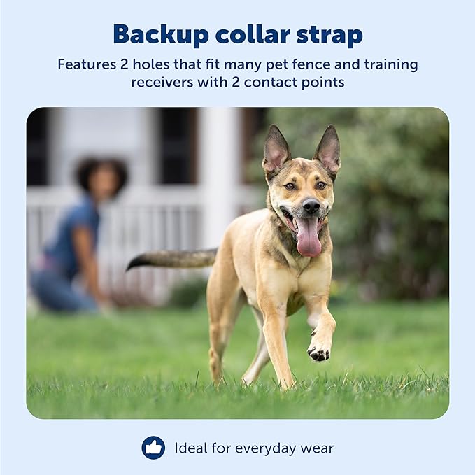 PetSafe Replacement Collar Strap with 2 Holes - Adjustable Design for In-Ground & Wireless Fence Collars - Lightweight Polyester - Secure, Comfortable Fit