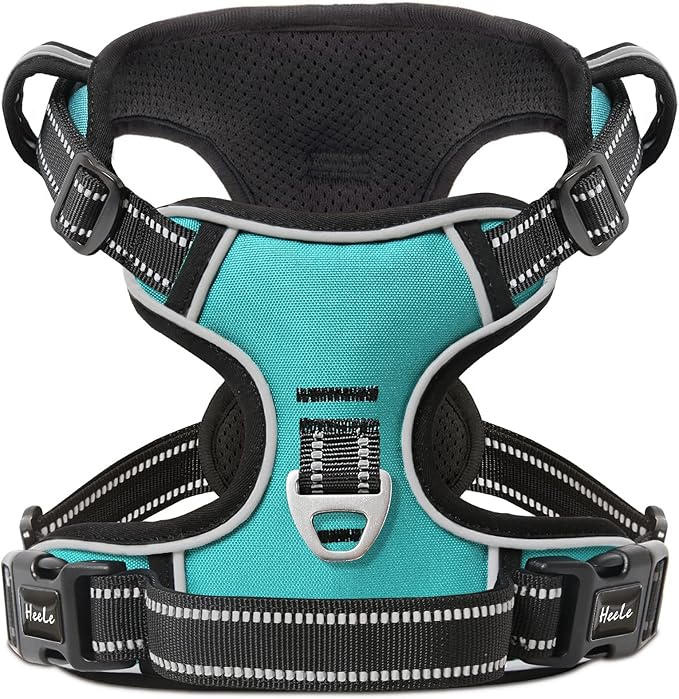 HEELE Dog Harness Dog Harness Small Dog No Pull Harness wiht Soft Handle Reflective Harness Adjustable, Turquoise, XS