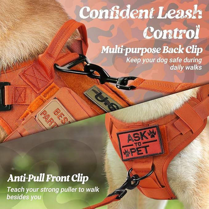 rabbitgoo Tactical Dog Harness for Small, Heavy Duty Pet Harness with Handle, No-Pull Service Vest Small Breed, Adjustable Military Dog Vest for Training Hunting Walking, Orange, S