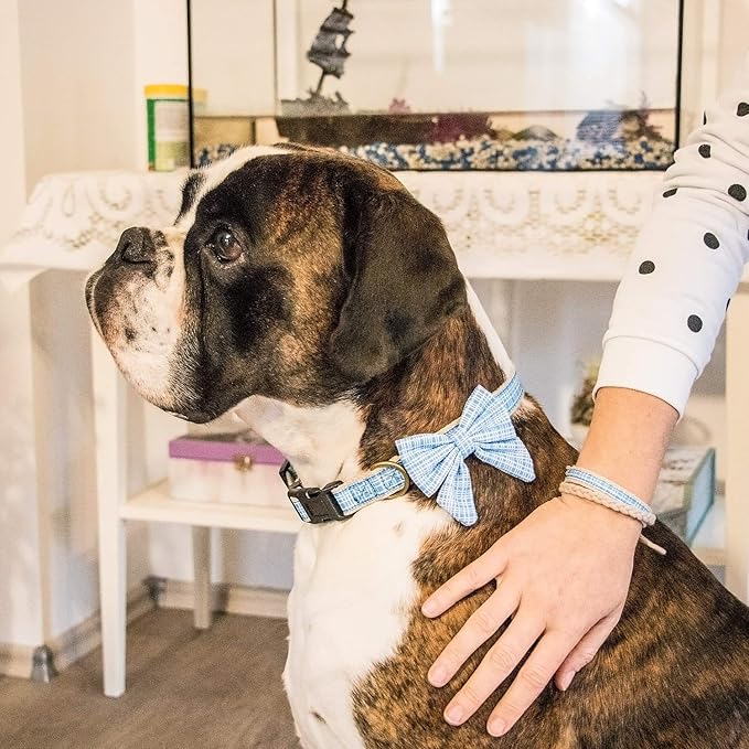 Pettsie Dog Bow Tie Collar with Matching Friendship Bracelet – Adjustable, Durable Hemp & Soft Cotton, Stylish & Comfortable for Sensitive Skin, Elegant Gift Box, Small, Blue