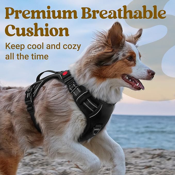rabbitgoo Dog Harness for Large Dogs, No Pull Pet Harness with Soft Padded Handle, Adjustable Reflective Vest with 3 Buckles, Easy Walking Harness with 2 Leash Clips, Black, XL