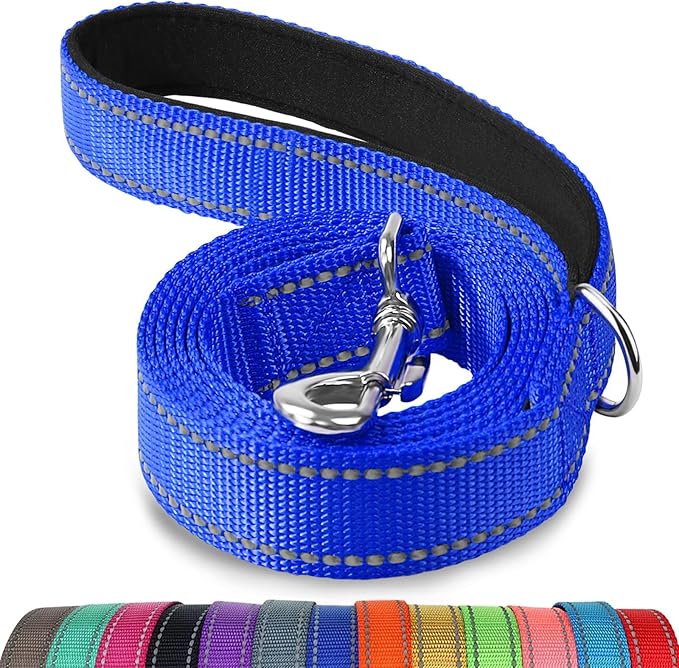 Joytale Dog Leash Heavy Duty for Small Medium Dogs, 4 FT Reflective Nylon Pet Walking Lead with Soft Padded Handle, Durable & Tangle Free for Training, Running & Safety Control, Navy Blue