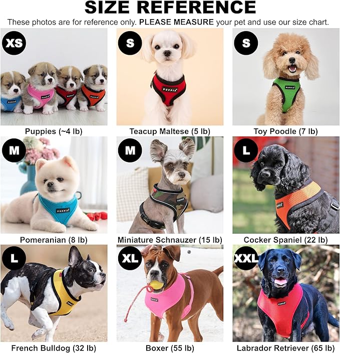 Puppia Soft Dog Harness No Choke Over-The-Head Triple Layered Breathable Mesh Adjustable Chest Belt and Quick-Release Buckle, Green, X-Small