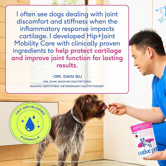 Native Pet Hip & Joint Supplement for Dogs - Advanced Dog Joint & Arthritis Supplement - Helps Maintain Healthy Cartilage, Joint Flexibility, Lubrication, & Function - with ESM & Collagen - 120 Chews