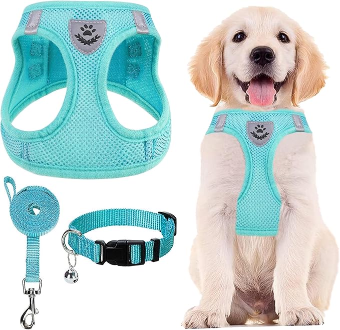 PUPTECK Adjustable Dog Harness Collar and Leash Set Step in No Pull Pet Harness for Small Medium Dogs Puppy and Cats Outdoor Walking Running, Soft Mesh Padded Reflective Vest Harnesses, Turquoise M