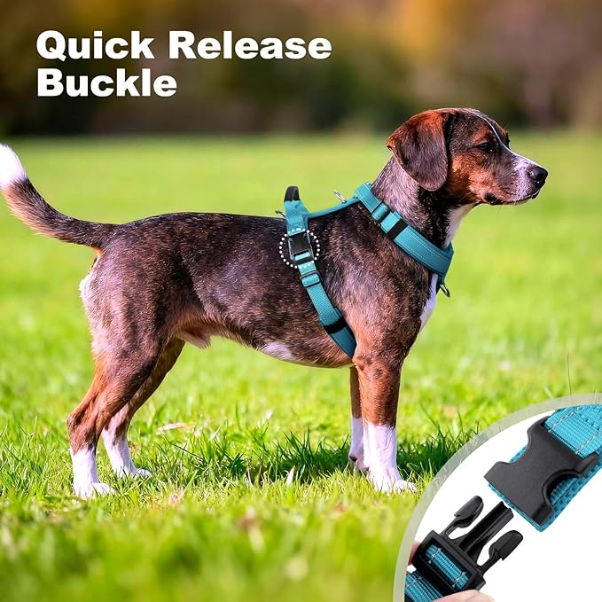 No Pull Dog Harness with Handle, Soft Mesh Padded Adjustable for Small Medium Large Dogs | Reflective Easy Walk Harness with Front Clip for Training, Running & Outdoor (Cyan, XS)