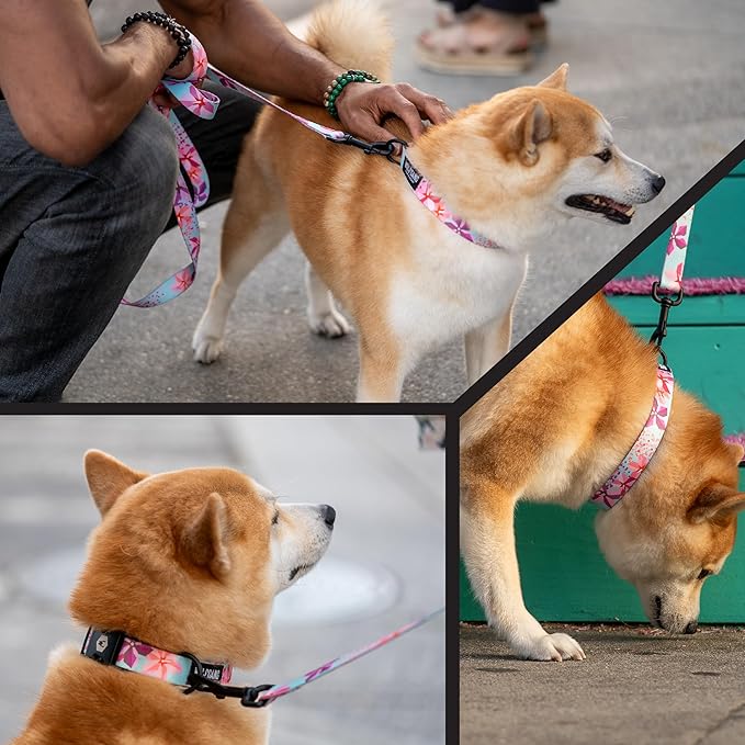 Wolfgang Heavy Duty Adjustable Dog Harness, Pull-Tested to Over 800 lbs for Walking & Training, DigiFloral Print, Large