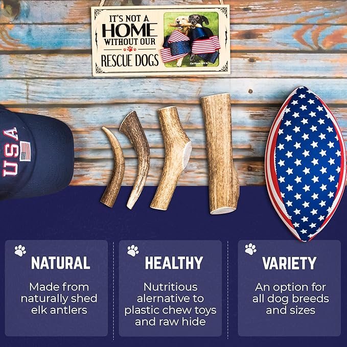 Devil Dog Pet Co. Elk Antlers for Dogs, Beast 10"+, 1 Pack, Grade A Long Lasting Chew for Aggressive Chewers, Premium USA Naturally Shed Antler – Healthy, No Odor, Durable Dog Chew