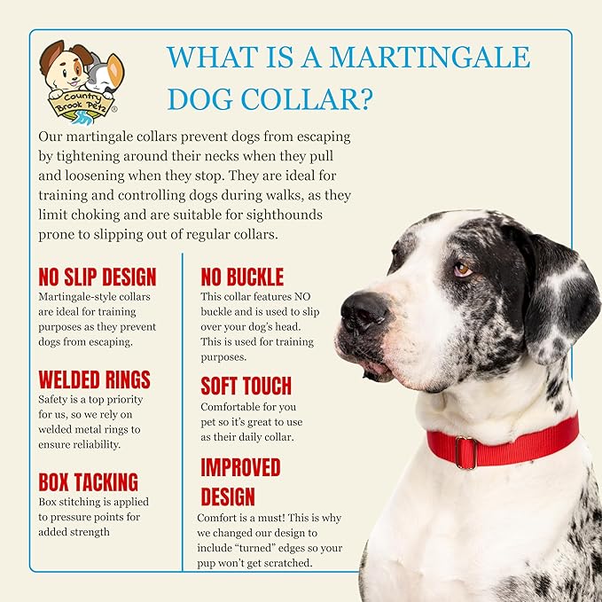 Country Brook Petz - Martingale Dog Collar - Heavy-Duty Training Collar with No Buckle - Service Dog Collar for All Pups - 10+ Warm Colors (Hot Yellow, 3/8 Inch, 3XS)