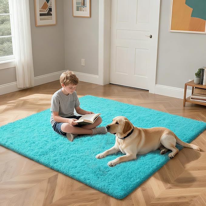 Teal Blue Rug Fluffy Rugs, 5x8 Teal Area Rugs for Bedroom, Soft Cute Baby Play Mat, Indoor Floor Carpet for Teen, Nursery, Preppy Dorm, Plush Aesthetic Bedside Rug