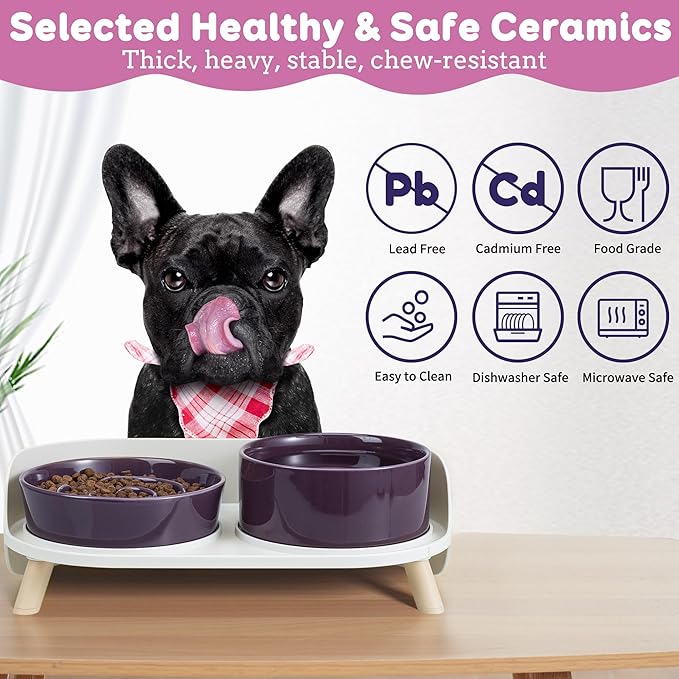 Elevated Slow Feeder Dog Bowls - Ceramic Food and Water Bowl Set with Stand - Raised Pet Dishes for Small and Medium Sized Dogs