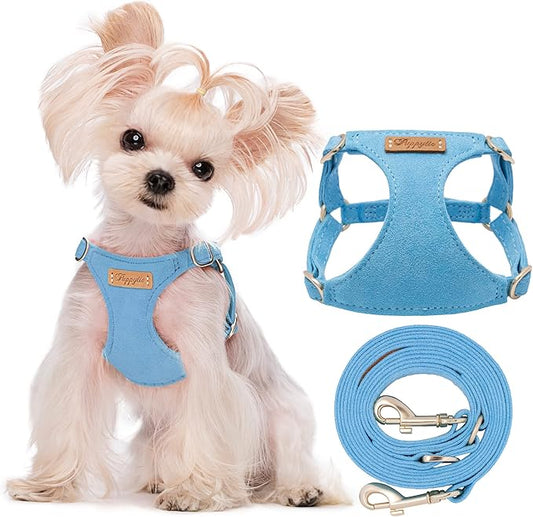 Puppytie Ultra-Light No-Pull XXS Dog Harness ??Escape-Proof Adjustable Vest for Small Breeds (2.2-6lbs)