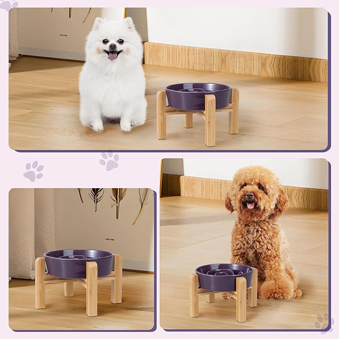 Elevated Slow Feeder Dog Bowl - Ceramic Maze Food Dish with Bamboo Stand - Raised Feeding Bowl for Fast Eaters - Ideal for Small and Medium Dogs - Purple - 6.7 inch