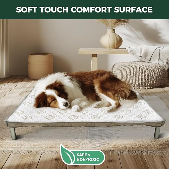 FXW TitanNest Chew-Proof Elevated Dog Bed, Raised Cot for Indoor/Outdoor/Camping Use, Durable & Washable Padded Pet Bed with Exclusive Cover for Toy Dogs, 23.0" L x 17.0" W x 4.5" H, Gray