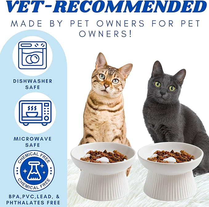 2 Pack Ceramic Slow Feeder Cat Bowl, Raised Puzzle Feeder, Anti Vomiting, Elevated Food Bowl, Whisker Friendly (White)