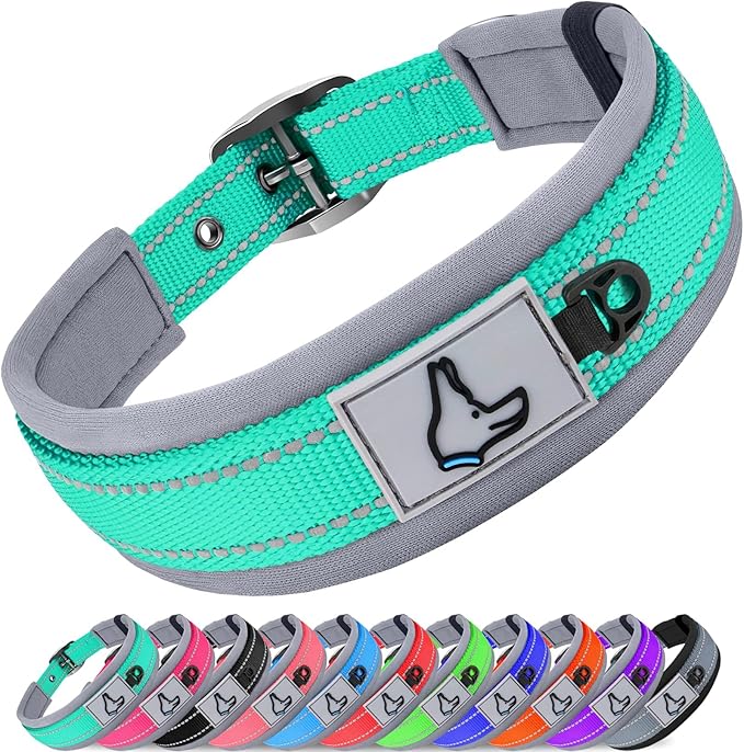 Joytale Dog Collar for Medium Dogs, Neoprene Padded and Adjustable, Reflective Wide Heavy Duty Pet Collars with Durable Metal Belt Buckle for Walking, Teal, M
