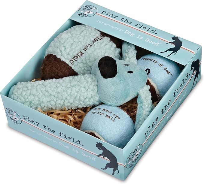 Dog is Good 4-Piece Dog Toy Gift Box – Play The Field Plush Toys Great for Games of Fetch to Exercise Your Dog