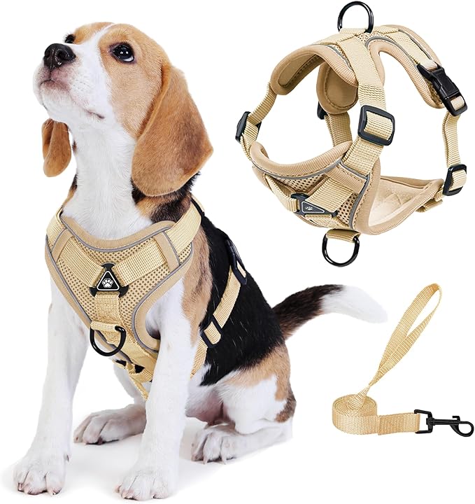 No Pull Dog Harness with Leash Set for Small Sized Dog, Reflective Adjustable No Choke Front Clip Cat Vest Harness with Breathable Mesh, Comfortable Soft Padded Pet Vest, Brown M