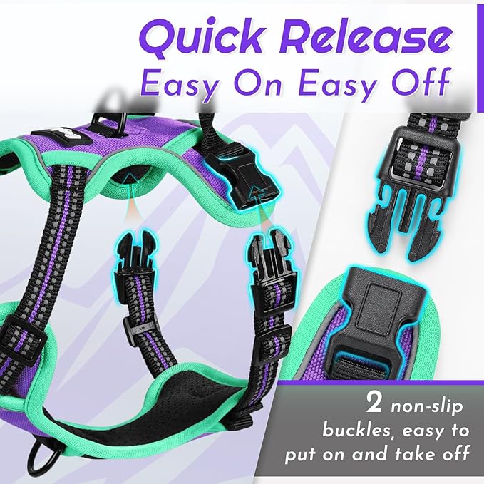 Eagloo Small Dog Harness No Pull, Service Vest with Reflective Strips and Control Handle, Adjustable and Comfortable for Walking, No Choke Pet Harness with 2 Metal Rings, Purple & Green, XS