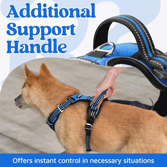 rabbitgoo Dog Harness Small Sized, No Pull Dog Vest with 3 Buckles, Adjustable Soft Padded Pet Harness with Easy Control Handle and Reflective Strips, Blue, S