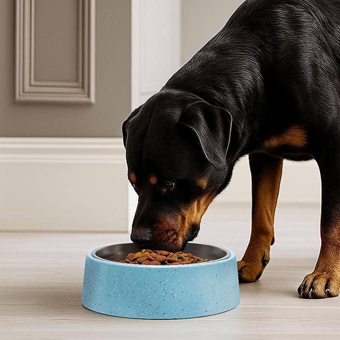bzyoo 32oz 4CUP Elevated Dog & Cat Bowl, Sprinkle Design, Slanted Stainless Steel Pet Bowl with Removable Inner Bowl, Non-Slip Silicone Base, Dishwasher Safe, for Dry/Wet/Raw Food & Water Blue