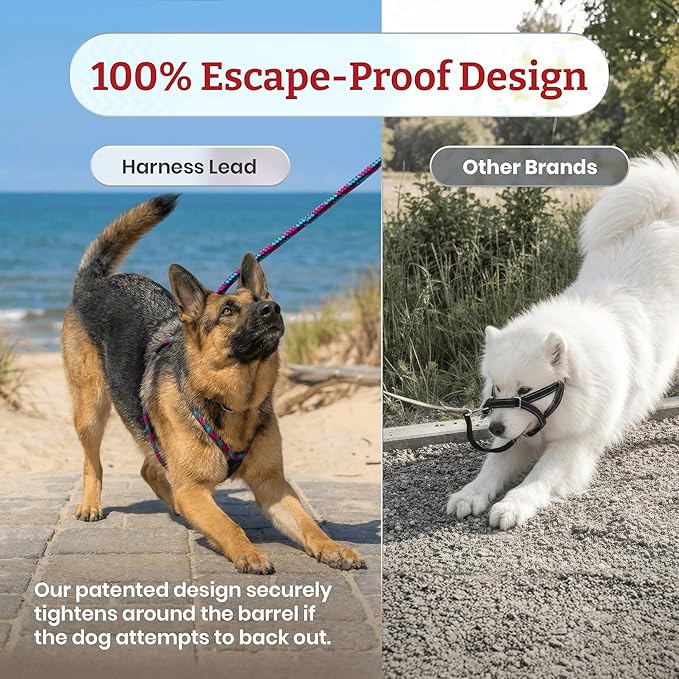 Harness Lead No Pull Dog Harness and Leash Set, Anti Pull Dog Harness, One-Piece Cushioned Rope Safely Prevents Escaping and Pulling (Small/Medium, Reef)