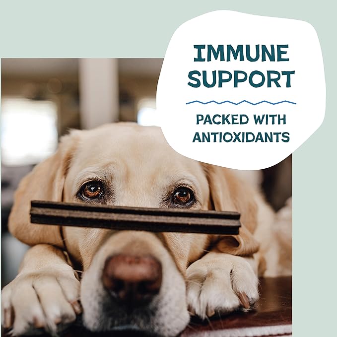 Shameless Pets Blueberry & Mint Dental Chews for Dogs, 32 Chews - Natural Dog Teeth Cleaning Treats with Fresh Breath Benefits | Grain-Free Dental Sticks for Small, Medium & Large Dogs